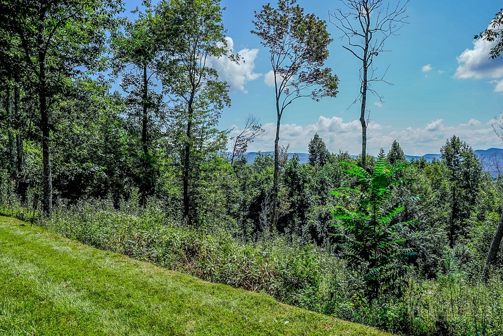 Lots H11 & H12 Heritage Ridge Property Photo 4