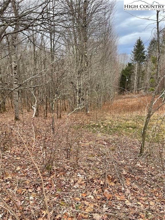 Tbd Old Mountain Road Property Photo 1