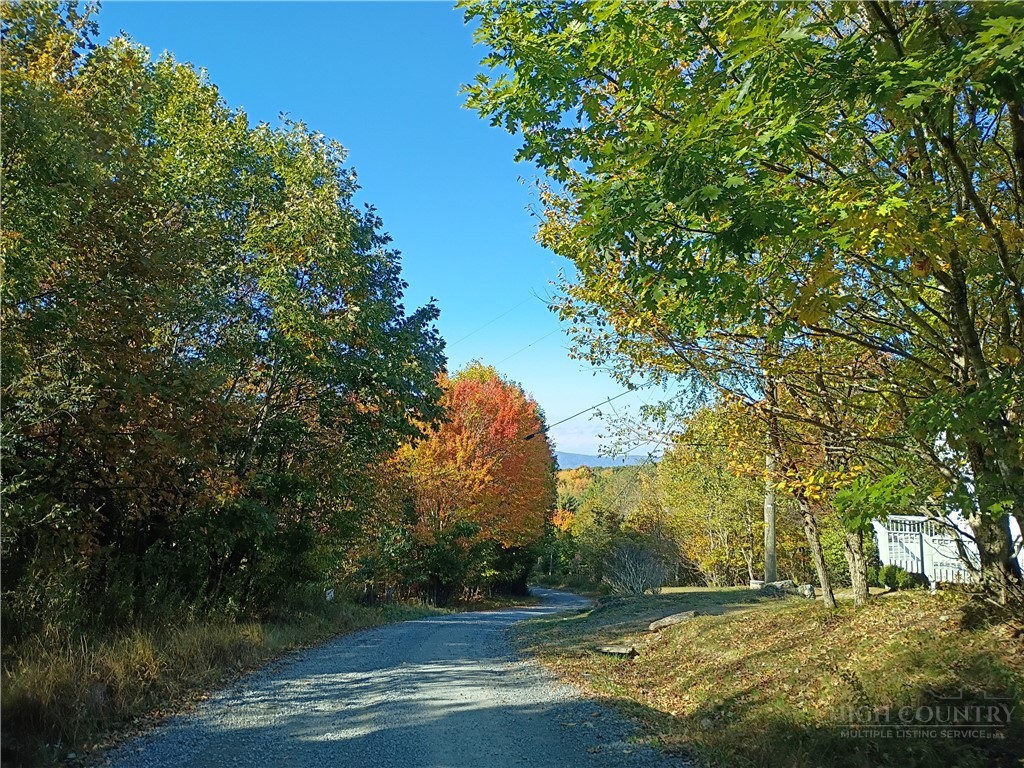 Tbd Old Mountain Road Property Photo 2