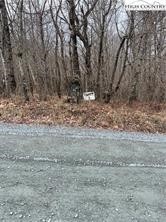 Tbd Old Mountain Road Property Photo 3