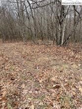 Tbd Old Mountain Road Property Photo 5
