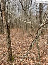 Tbd Old Mountain Road Property Photo 6