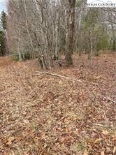 Tbd Old Mountain Road Property Photo 7