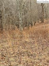 Tbd Old Mountain Road Property Photo 8