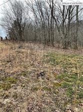 Tbd Old Mountain Road Property Photo 9