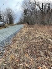 Tbd Old Mountain Road Property Photo 10