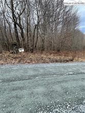 Tbd Old Mountain Road Property Photo 12