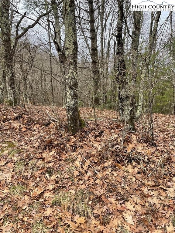 Tbd Old Mountain Road Property Photo 13