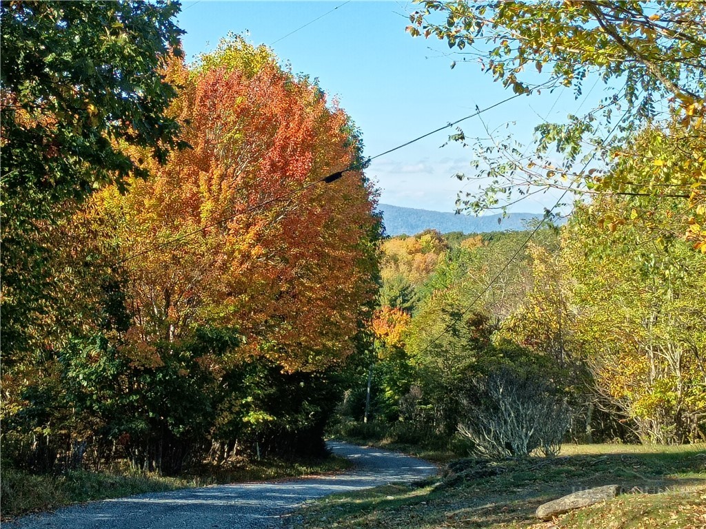 Tbd Old Mountain Road Property Photo 14