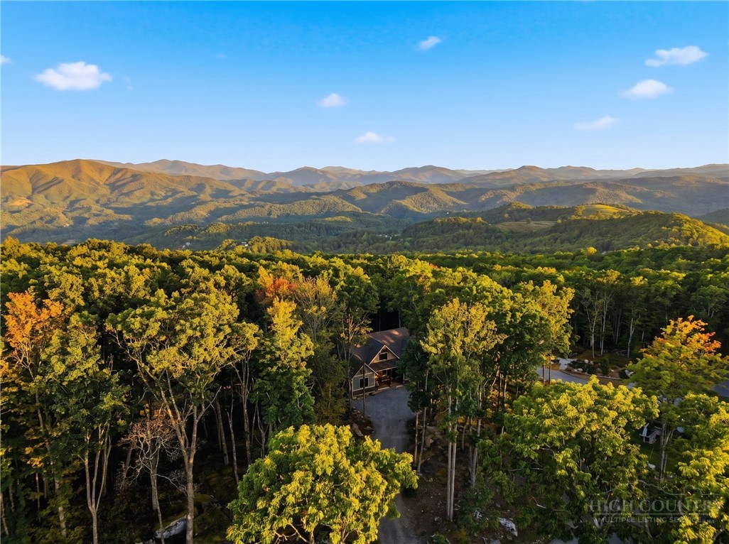 120 Timber Rock Trail Property Photo 29