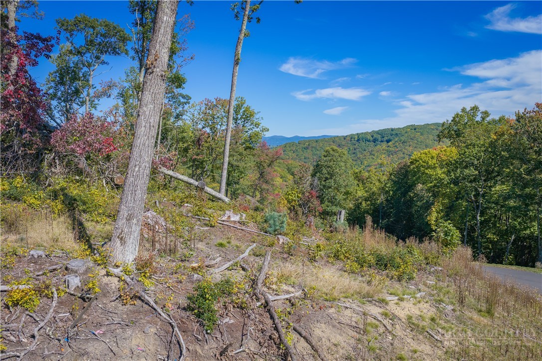 Wr-17 Firethorne Lane Property Photo 3