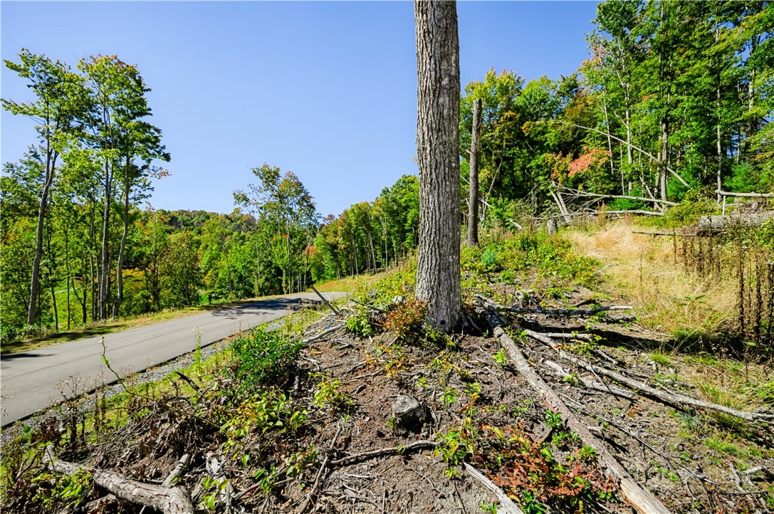 Wr-17 Firethorne Lane Property Photo 13
