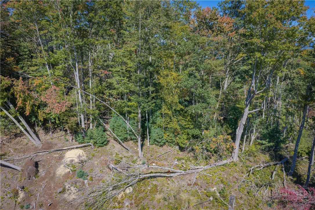 Wr-17 Firethorne Lane Property Photo 15