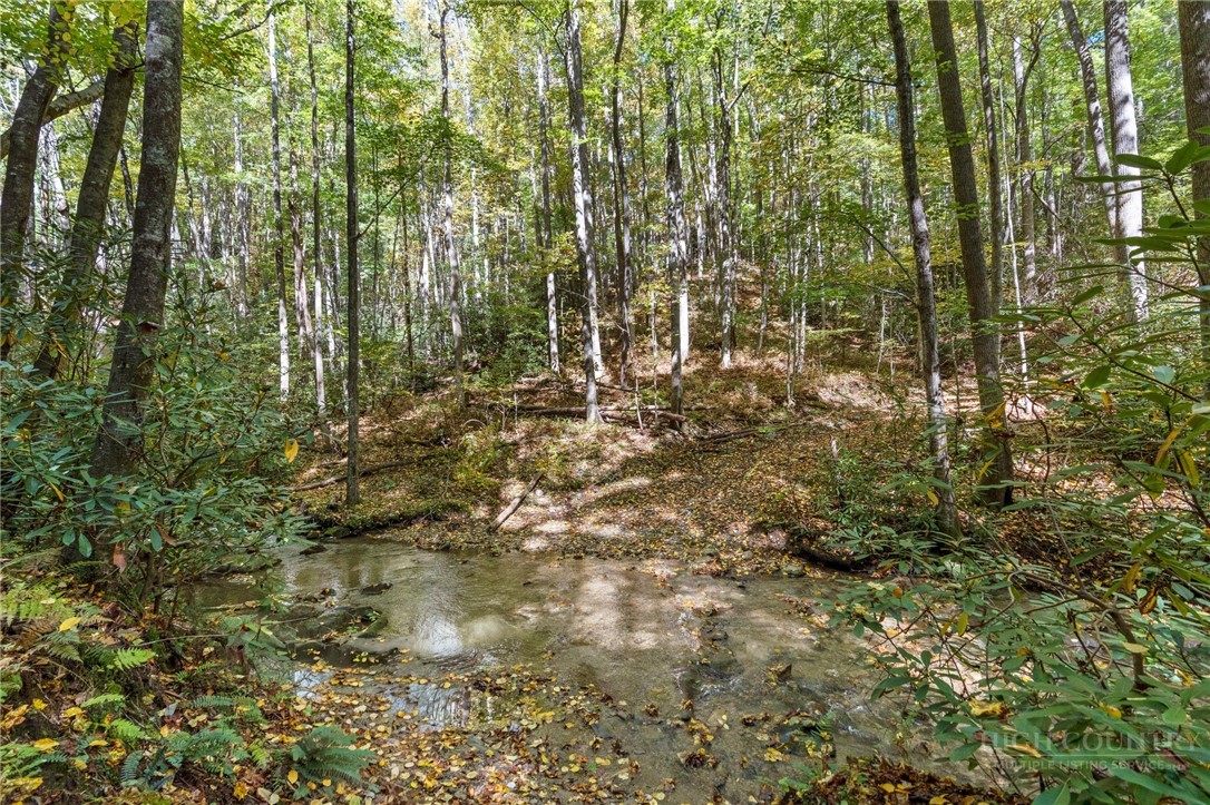 7954 Bailey Falls Lane Property Photo 36