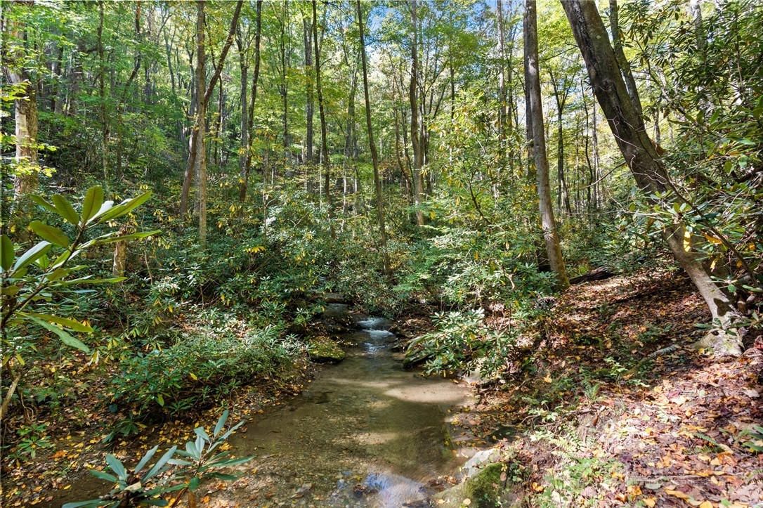 7954 Bailey Falls Lane Property Photo 38
