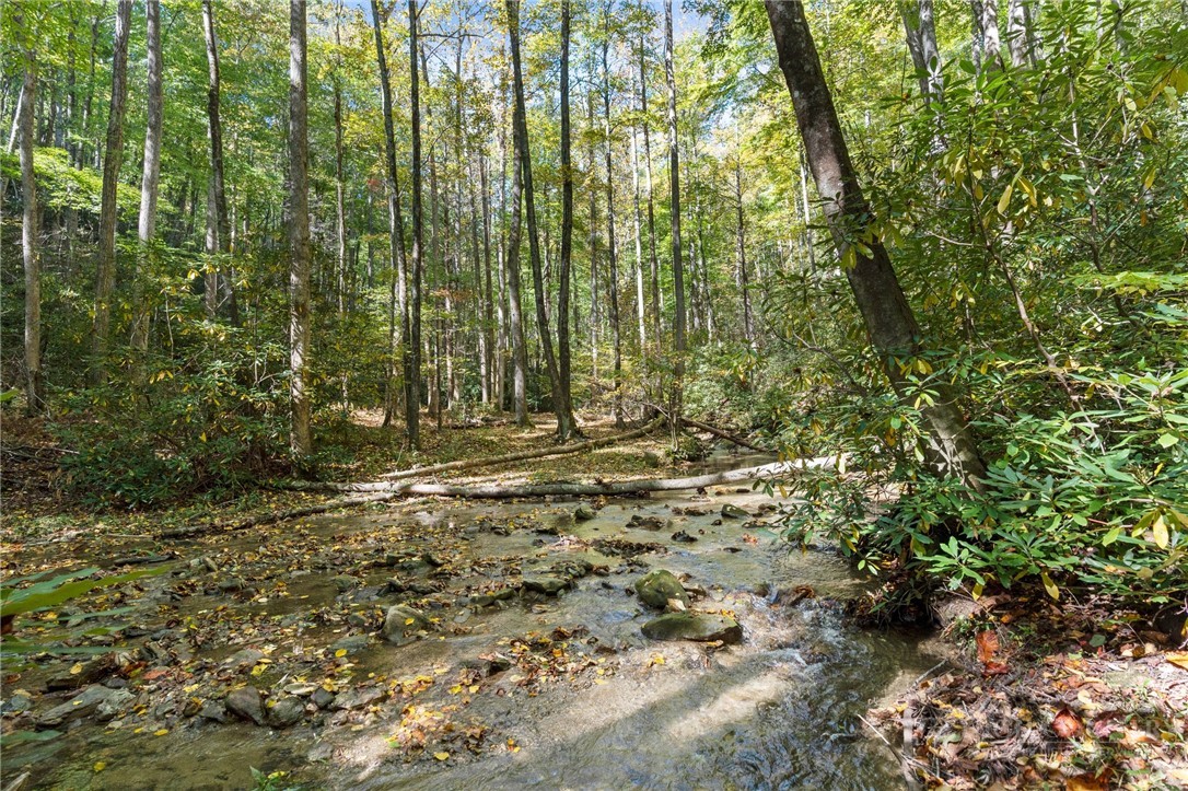 7954 Bailey Falls Lane Property Photo 39