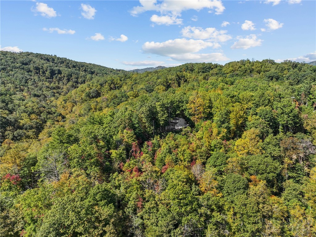 7954 Bailey Falls Lane Property Photo 40