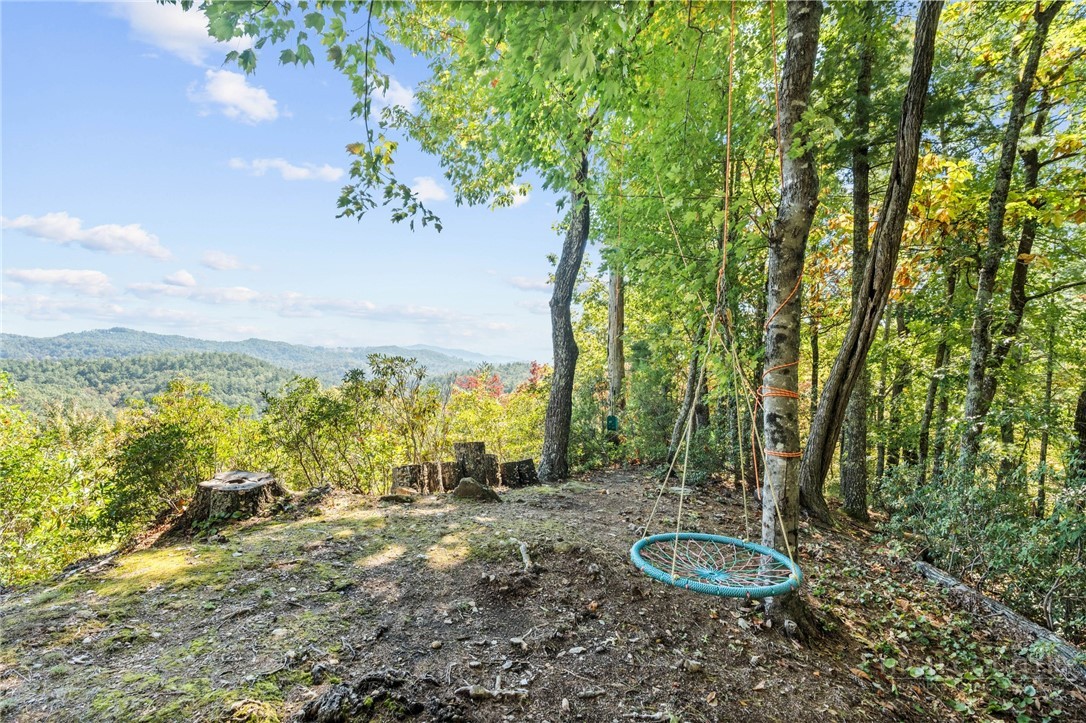 7954 Bailey Falls Lane Property Photo 44