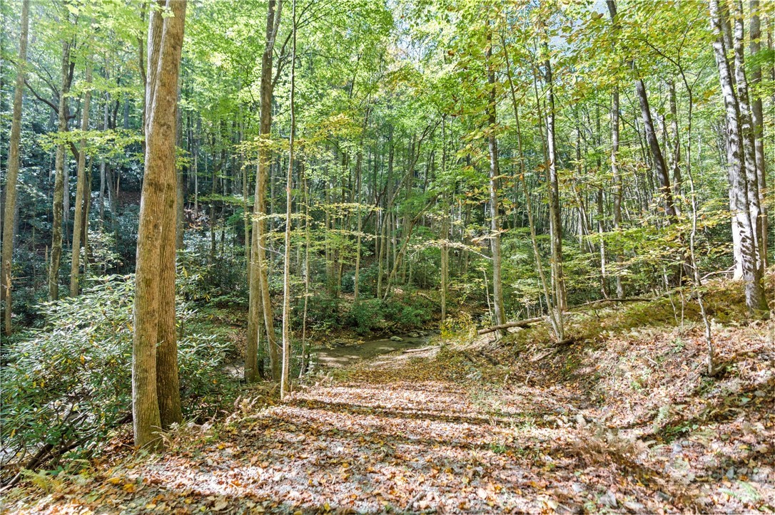 7954 Bailey Falls Lane Property Photo 45