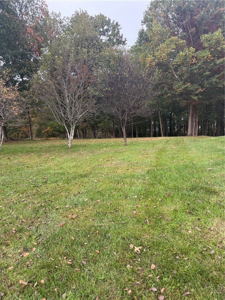 254 Collins Road Property Photo 9