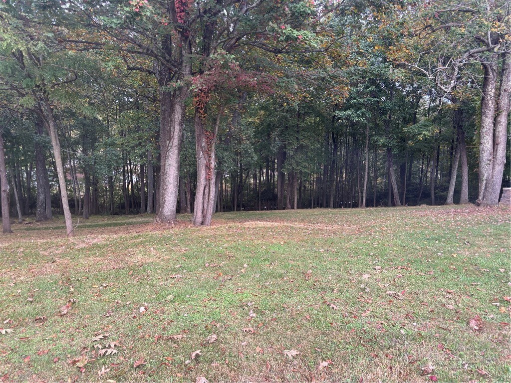 254 Collins Road Property Photo 11