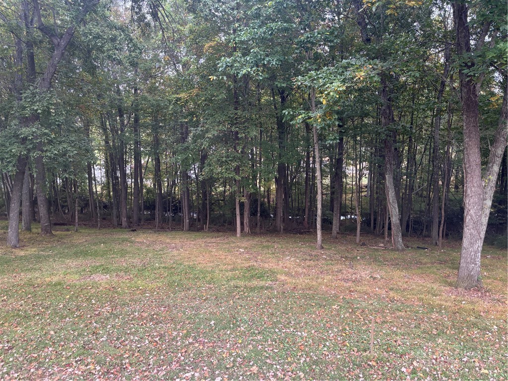 254 Collins Road Property Photo 14