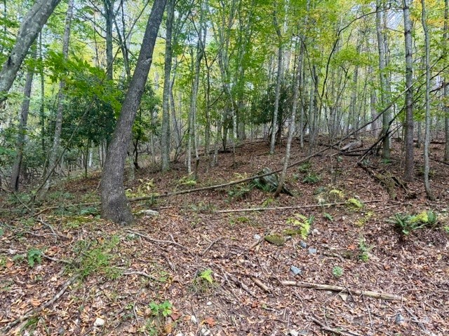 Tbd E Weaver Ford Road Property Photo 1