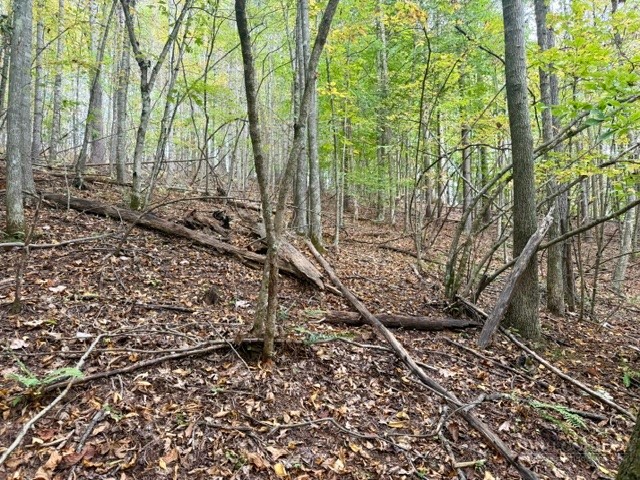 Tbd E Weaver Ford Road Property Photo 2