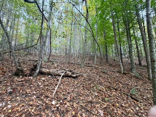 Tbd E Weaver Ford Road Property Photo 4