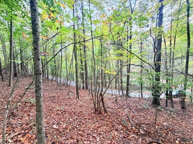 Tbd E Weaver Ford Road Property Photo 6