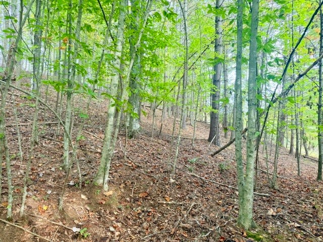 Tbd E Weaver Ford Road Property Photo 12