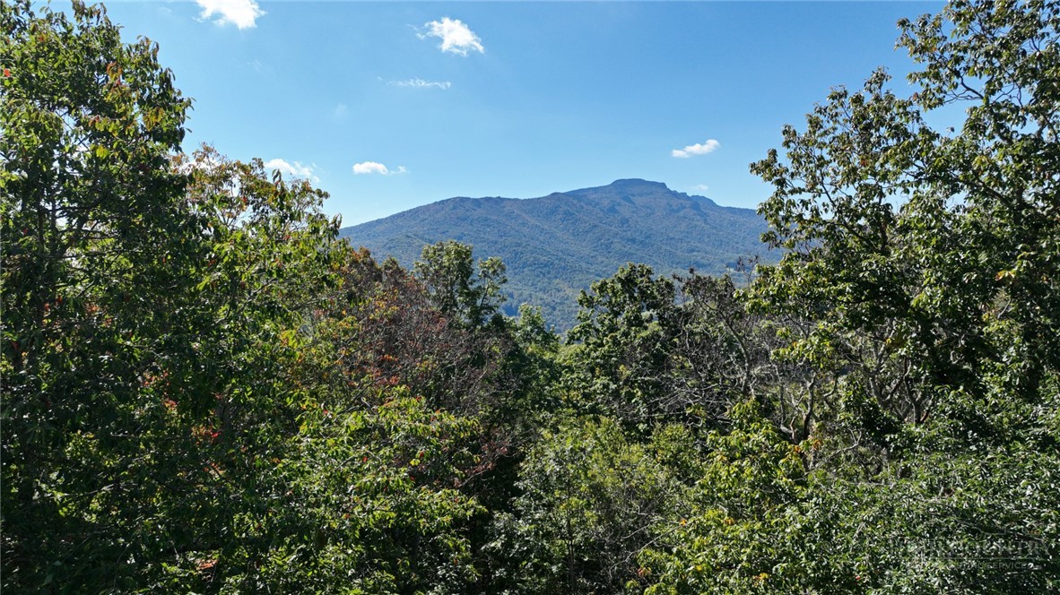 325 Grandview Drive Property Photo 31