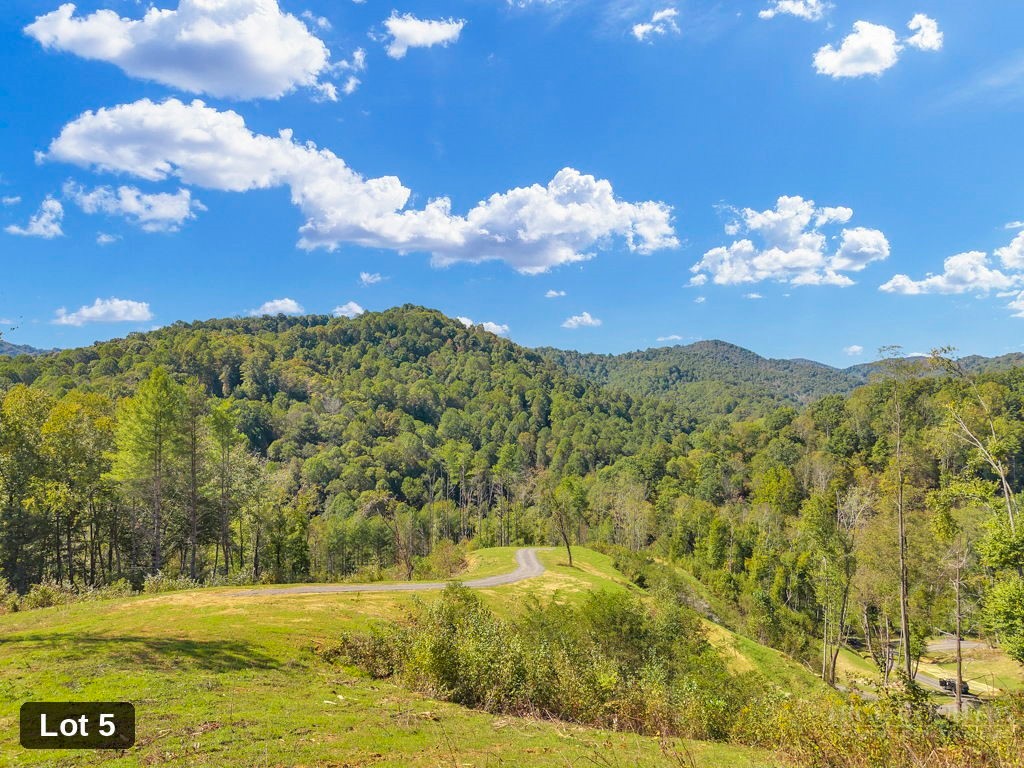 Lot 5 Horseshoe Trail Property Photo 1