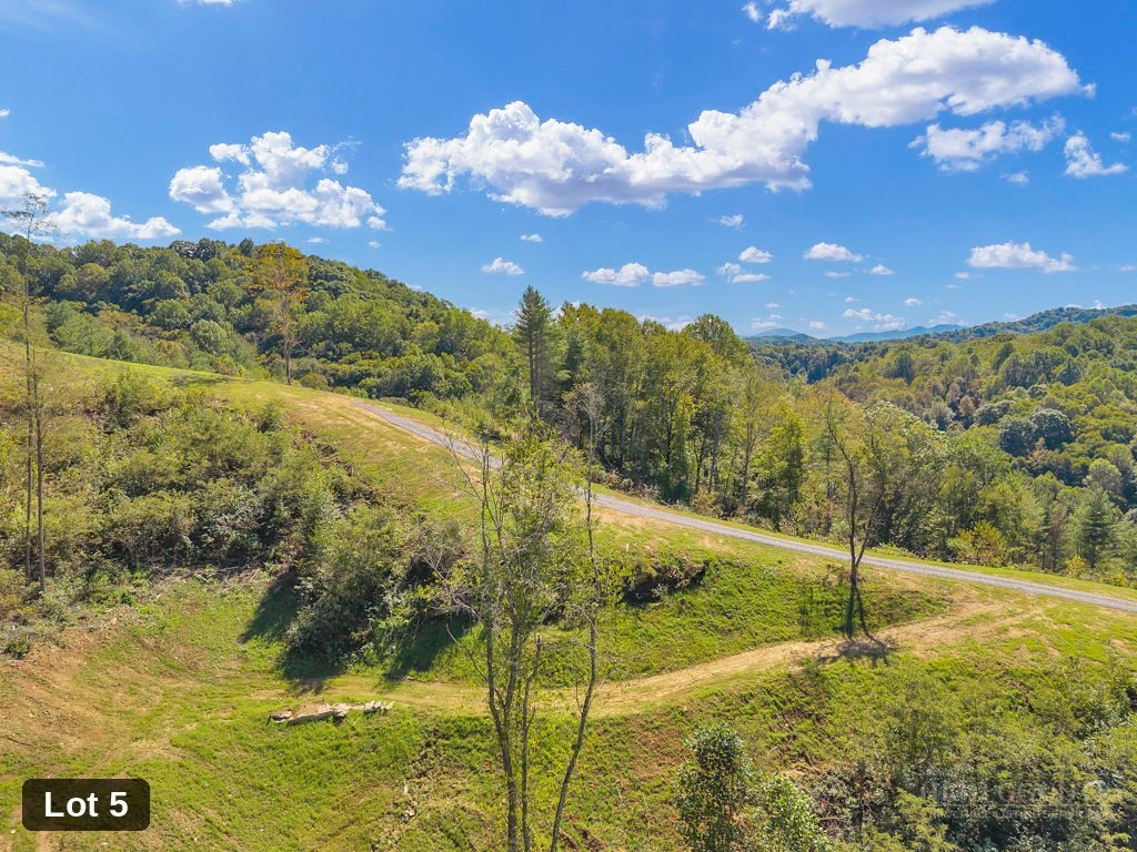 Lot 5 Horseshoe Trail Property Photo 2