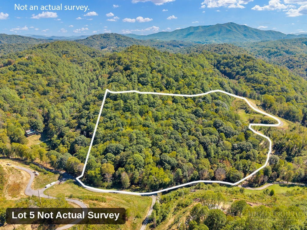 Lot 5 Horseshoe Trail Property Photo 3