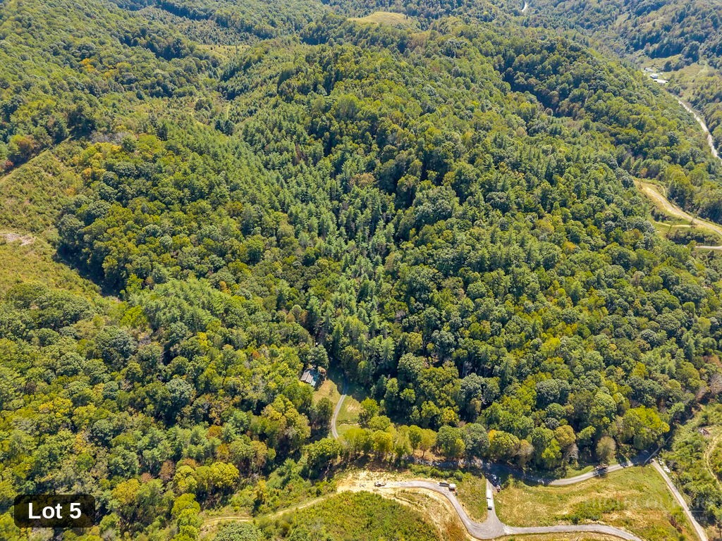 Lot 5 Horseshoe Trail Property Photo 5
