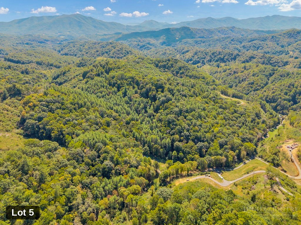 Lot 5 Horseshoe Trail Property Photo 6