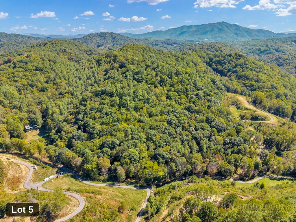 Lot 5 Horseshoe Trail Property Photo 7