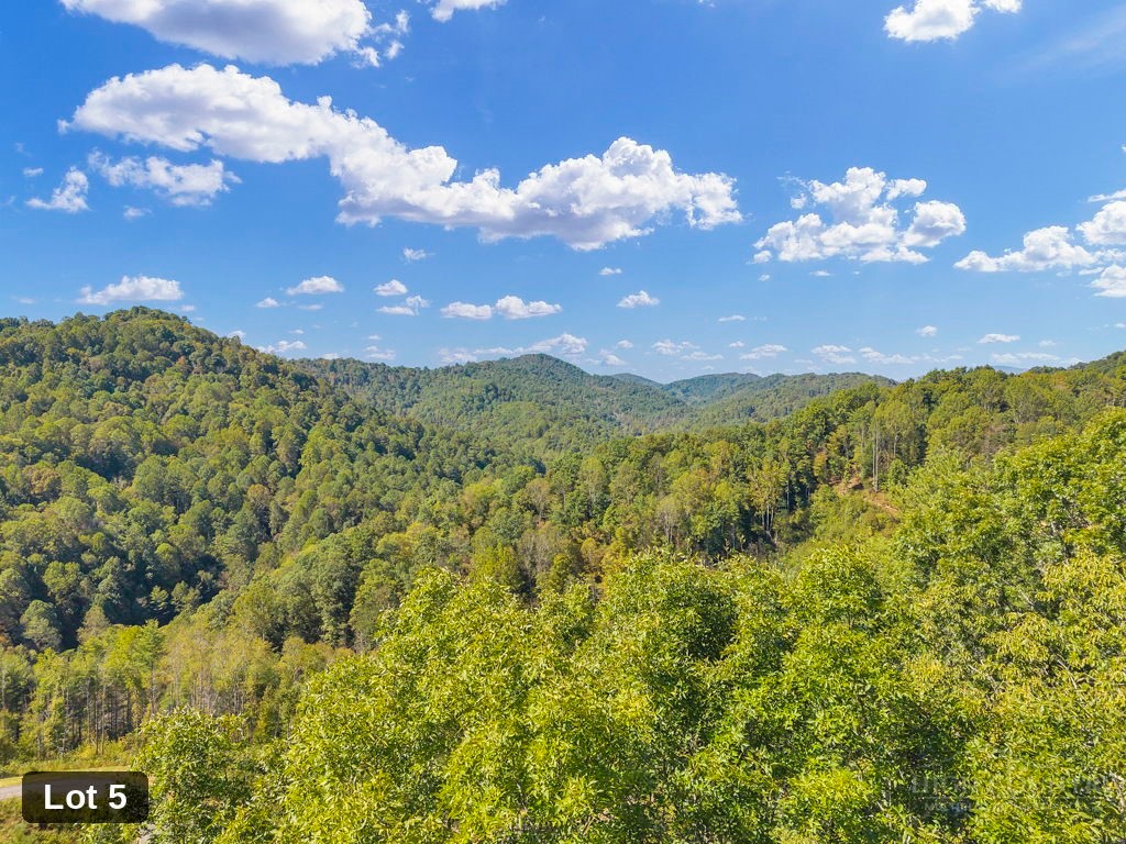 Lot 5 Horseshoe Trail Property Photo 8