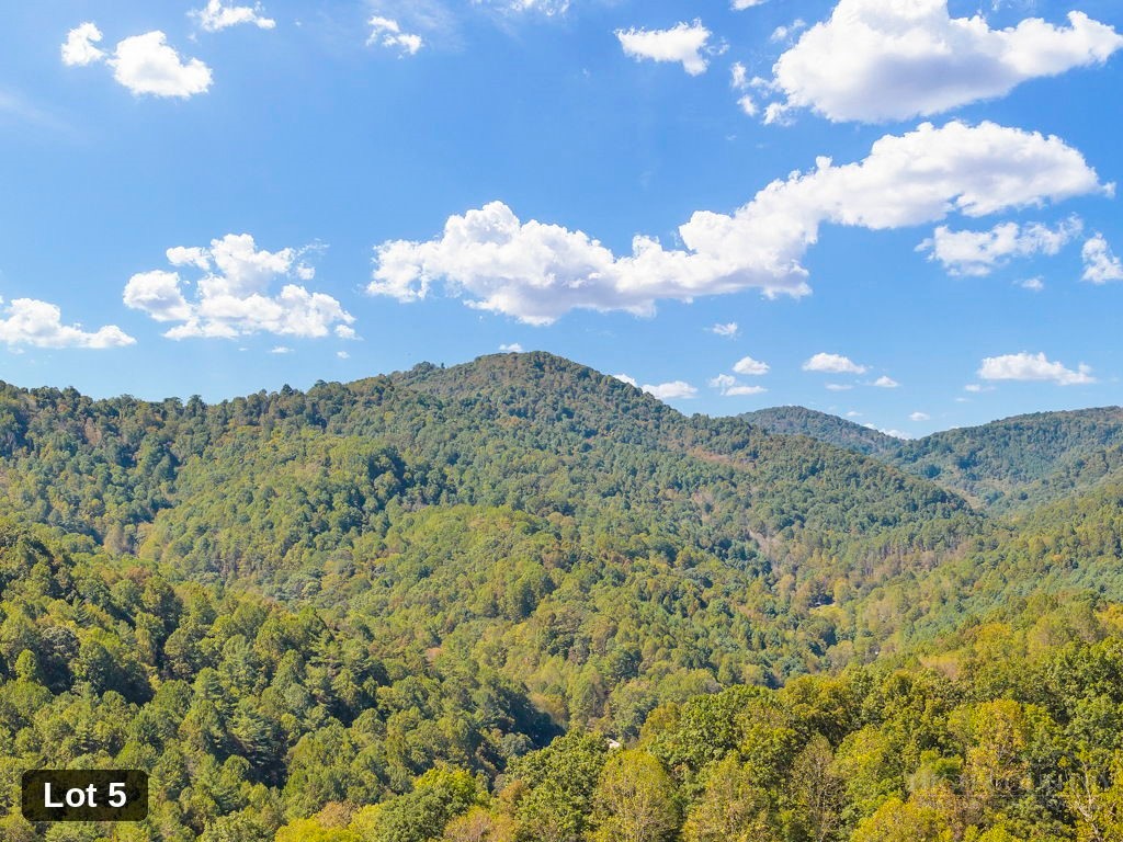 Lot 5 Horseshoe Trail Property Photo 9