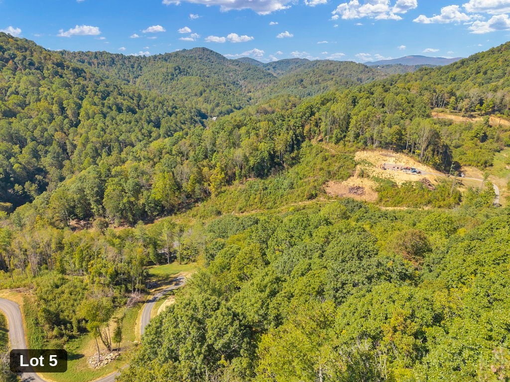 Lot 5 Horseshoe Trail Property Photo 10