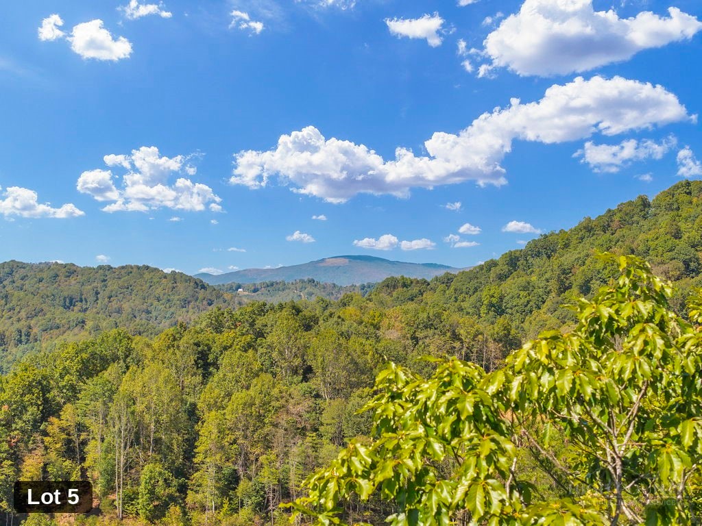 Lot 5 Horseshoe Trail Property Photo 11