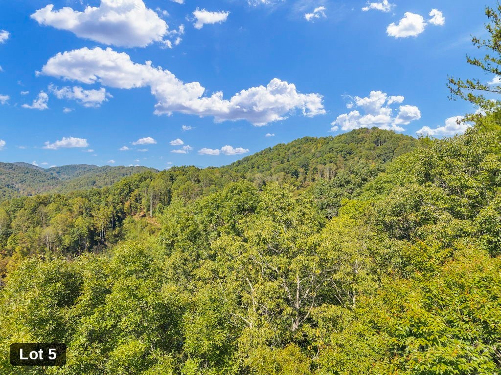 Lot 5 Horseshoe Trail Property Photo 12