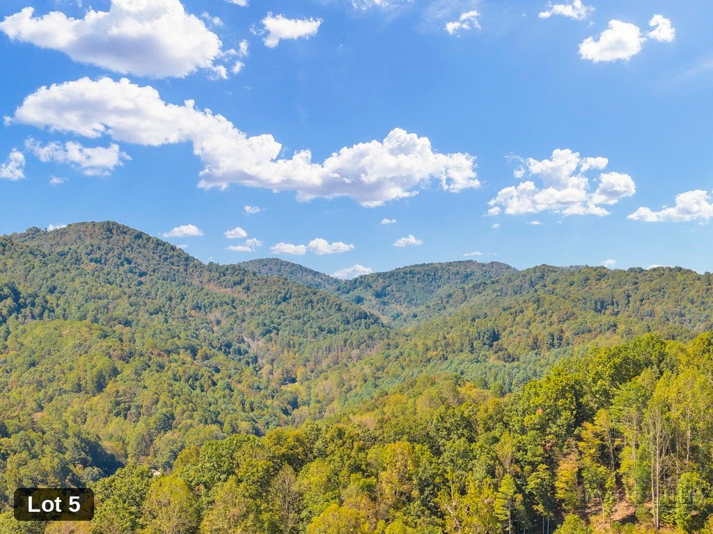 Lot 5 Horseshoe Trail Property Photo 13