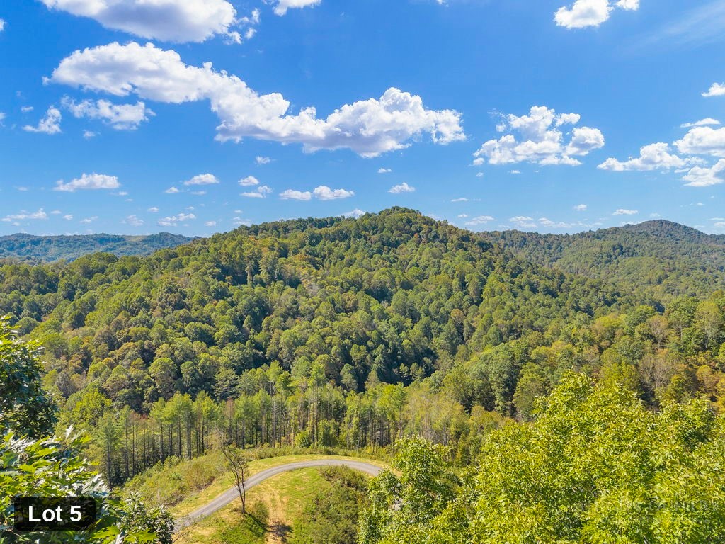 Lot 5 Horseshoe Trail Property Photo 14