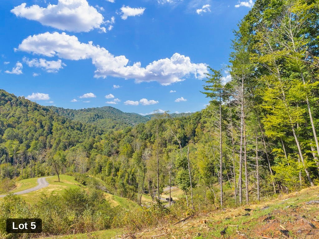 Lot 5 Horseshoe Trail Property Photo 15