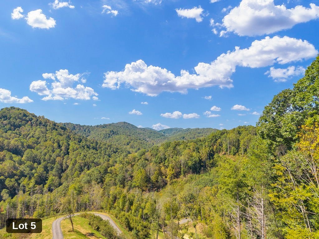 Lot 5 Horseshoe Trail Property Photo 16