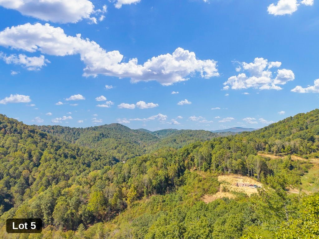 Lot 5 Horseshoe Trail Property Photo 17