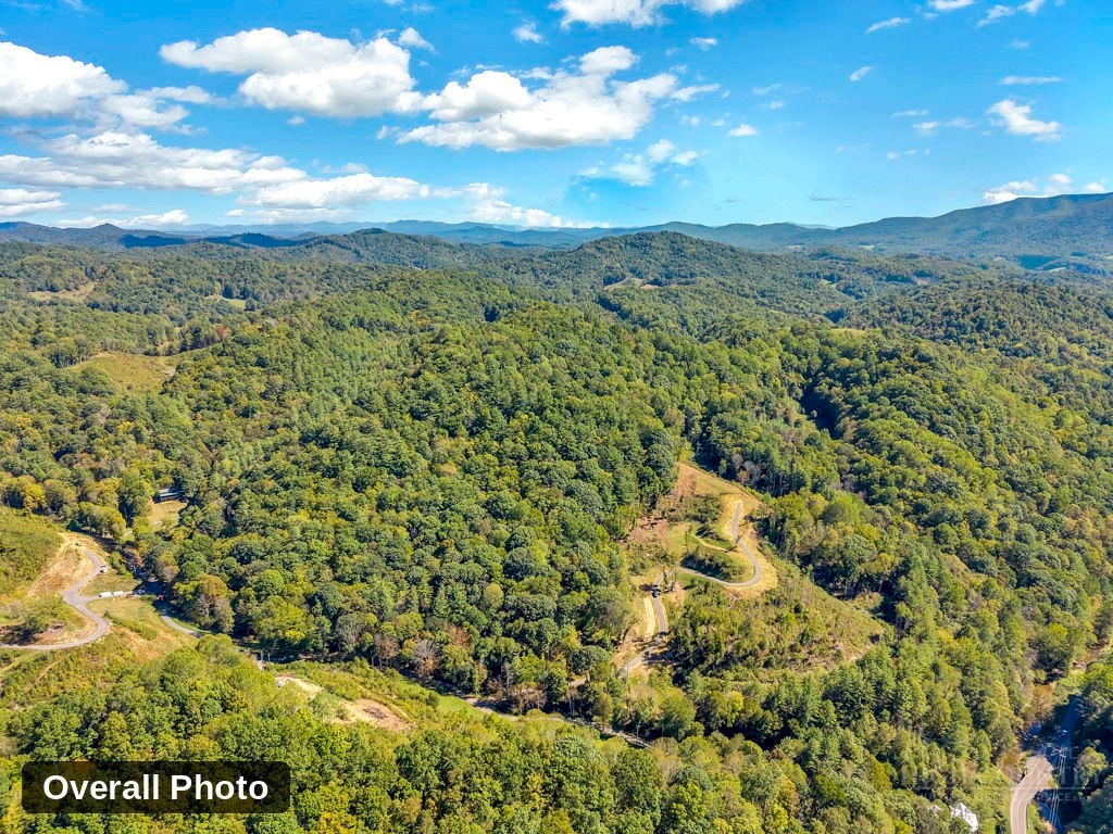 Lot 5 Horseshoe Trail Property Photo 19