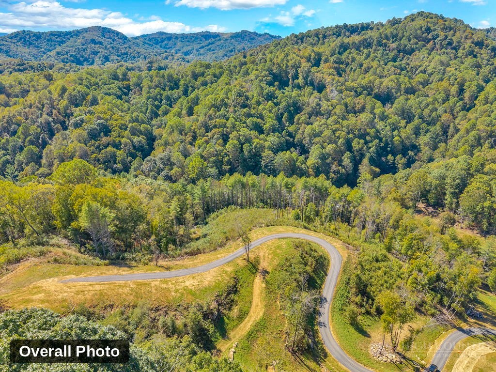 Lot 5 Horseshoe Trail Property Photo 20